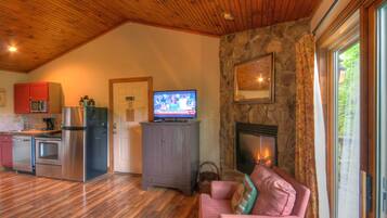 TV, fireplace, DVD player