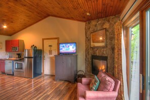 TV, fireplace, DVD player