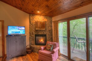 TV, fireplace, DVD player - Vacation Cottage in Premier Resort (Boone)