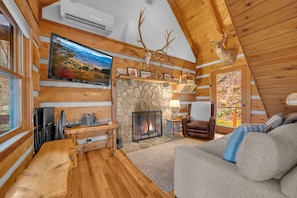 TV, fireplace