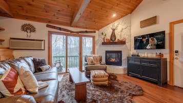 Télévision, cheminée, lecteur de DVD