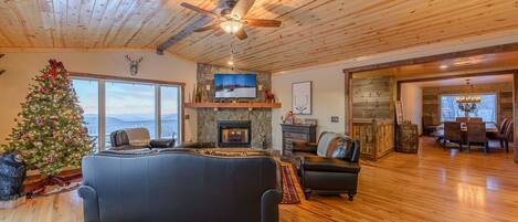 TV, peis og DVD-spiller