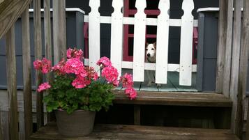 Enceinte de l’hébergement