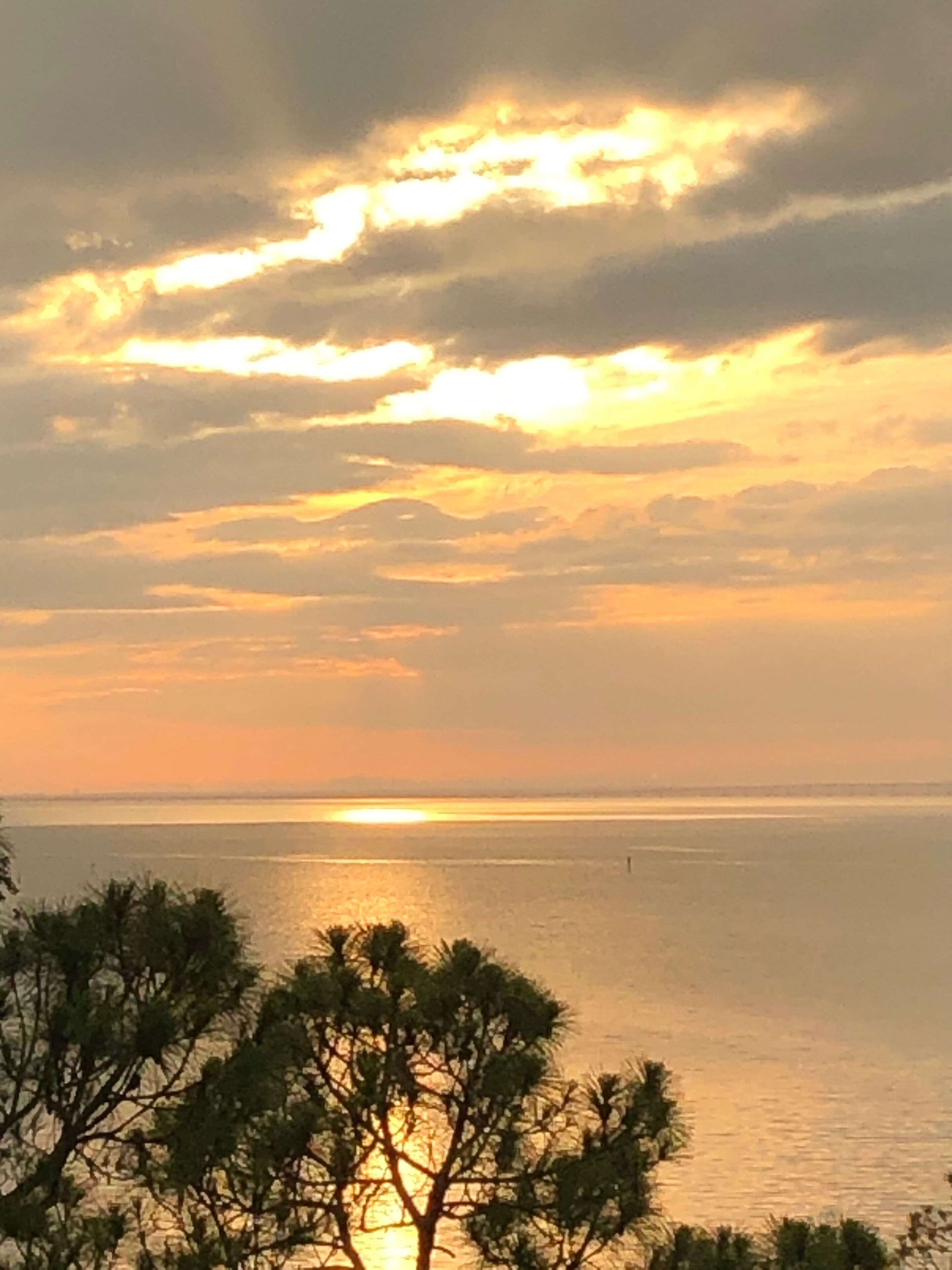 A sunset over a calm sea with trees in the foreground.