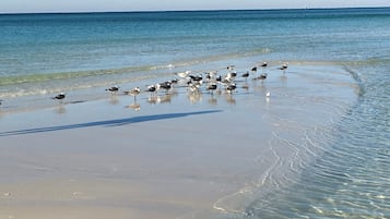 Platja a a prop