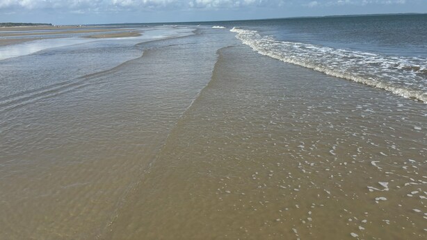 Une plage aux vagues douces et sous un ciel dégagé.