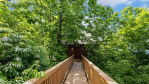 A wooden bridge surrounded by lush green foliage.
