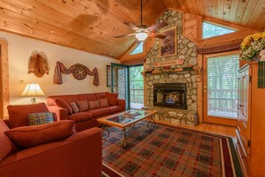 TV, fireplace, DVD player, books