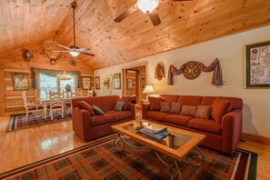 Televisión, chimenea, reproductor de DVD y libros 