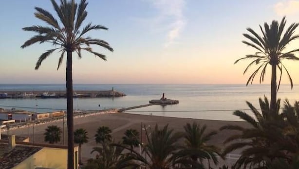 A coastal view with palm trees, a beach, and a pier with boats. - Palasiet (Villajoyosa)