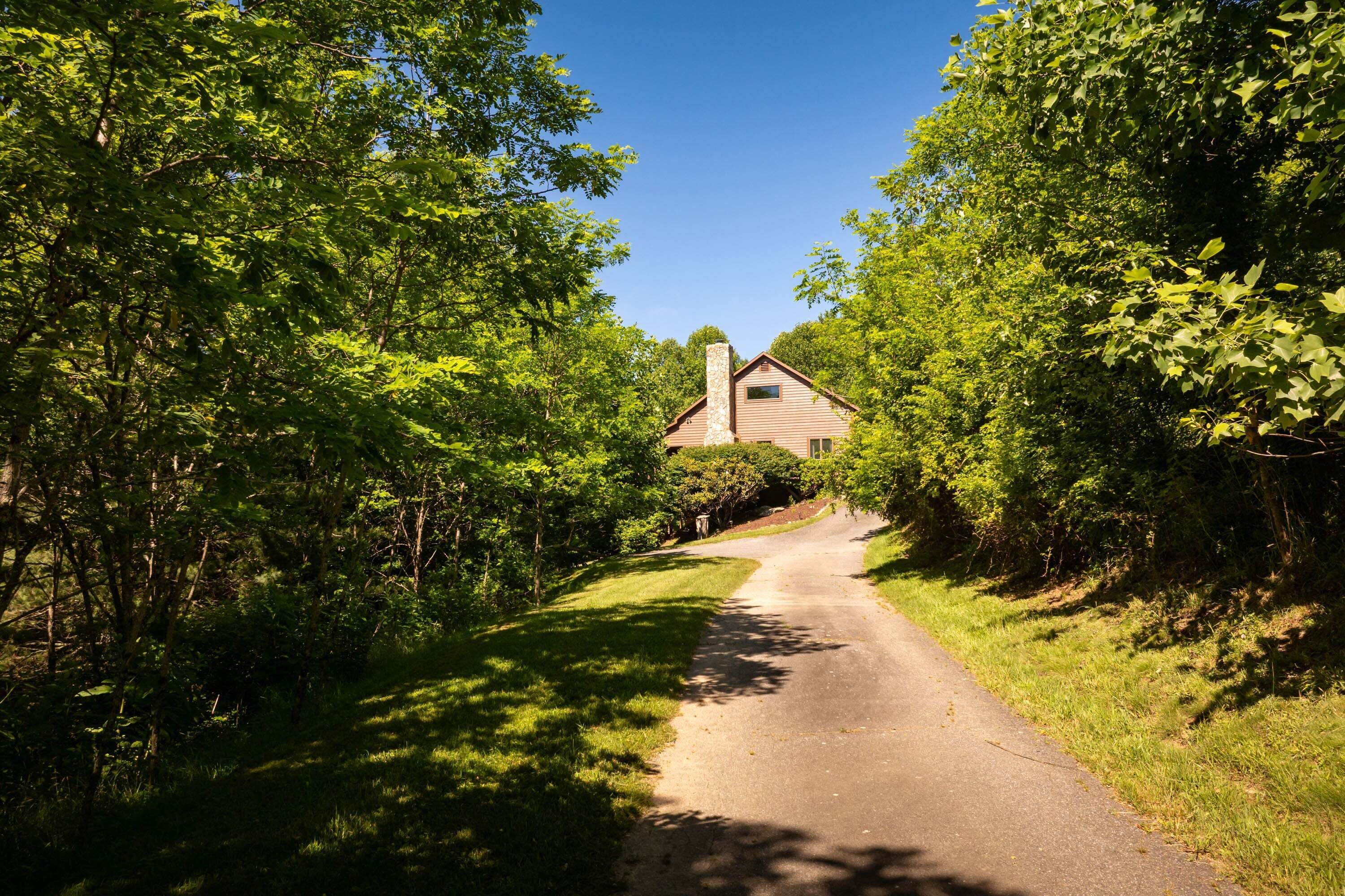 A rural road leading to a house surrounded by dense green trees.