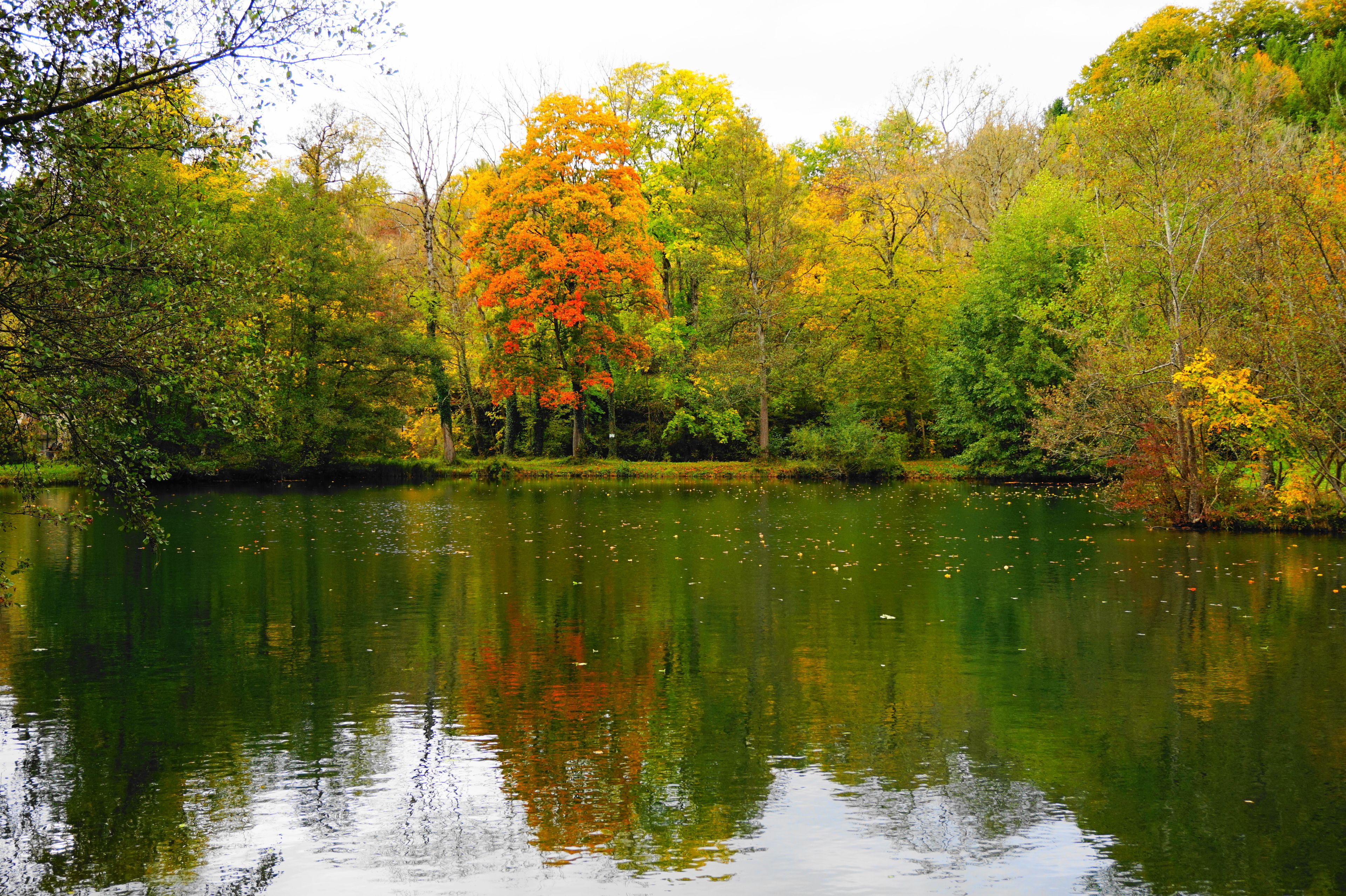 A serene lake surrounded by trees with autumn foliage.