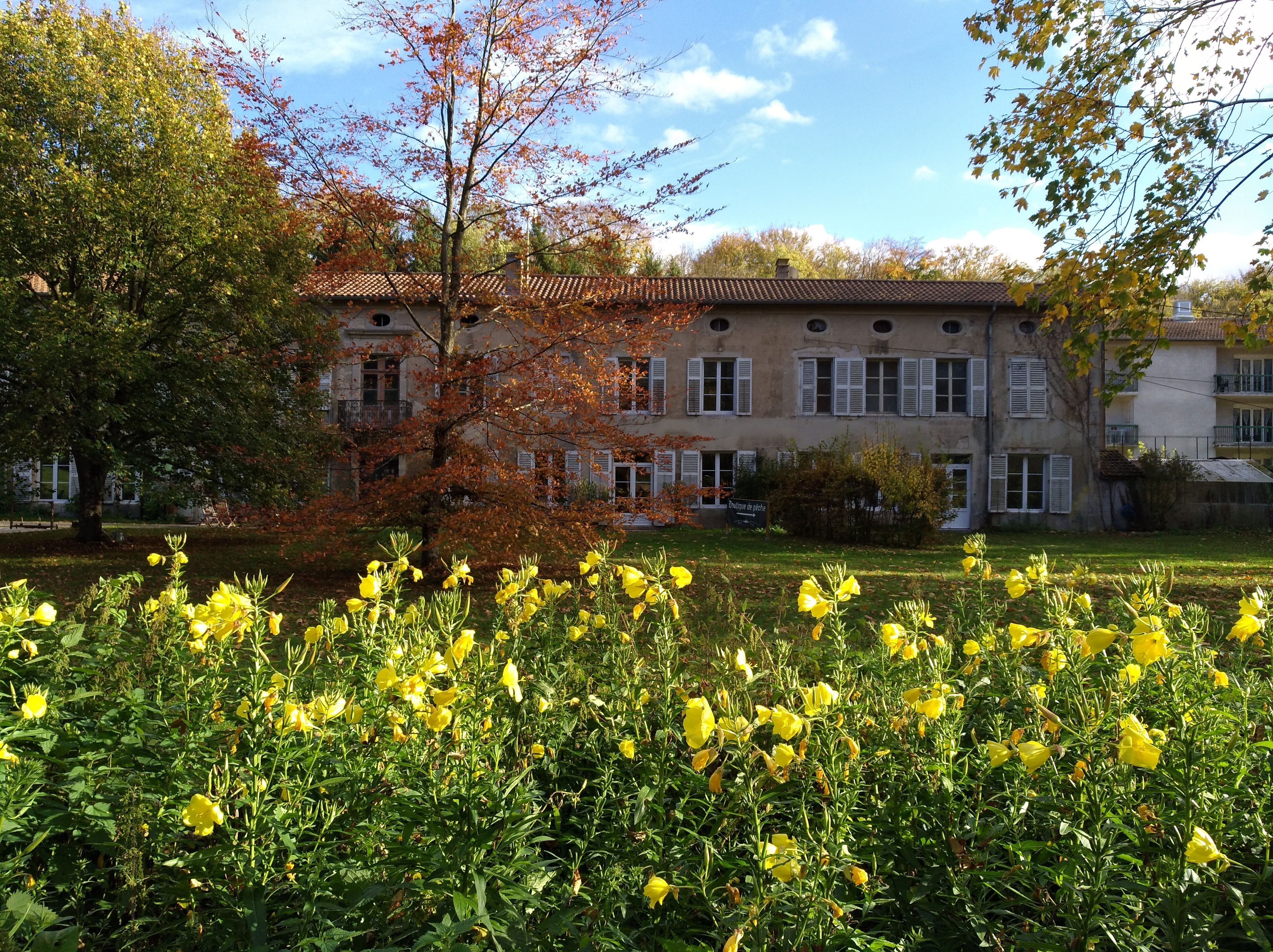 Ein Gebäude im traditionellen Baustil, umgeben von einem gepflegten Garten mit gelben Blumen.