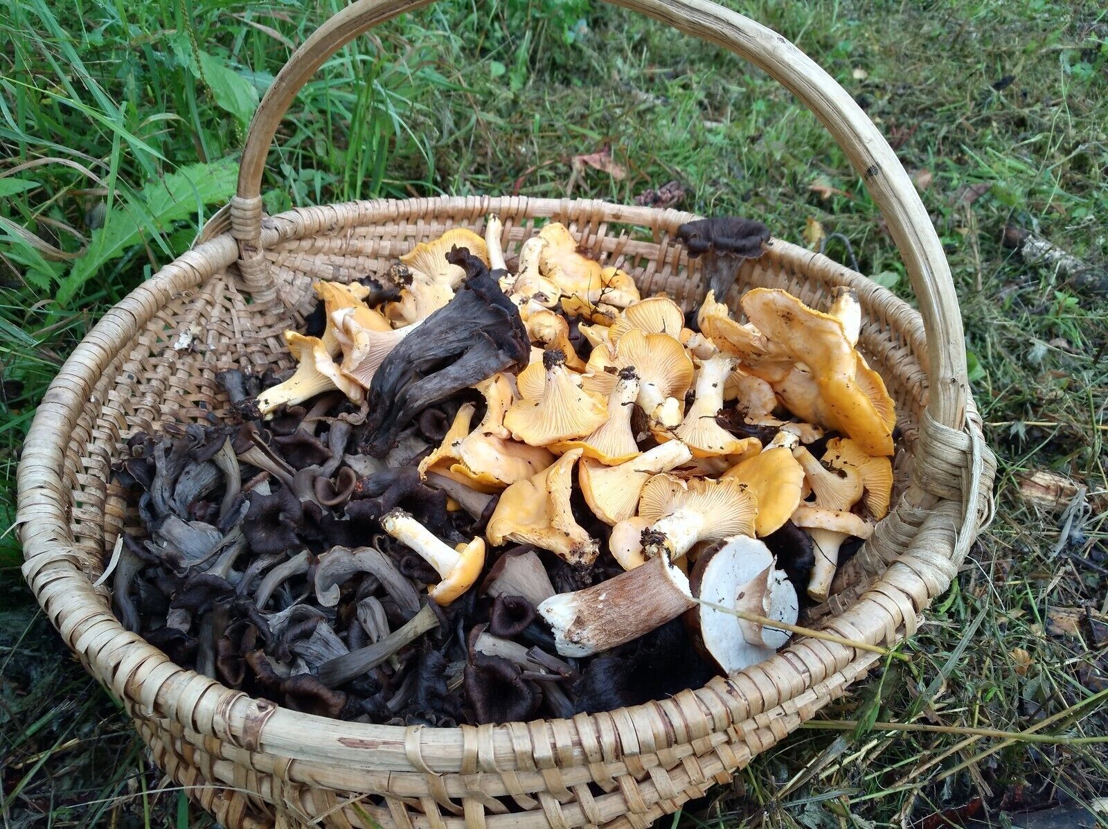 breakfast, lunch, dinner served; french cuisine