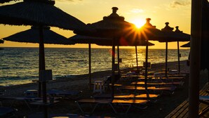 Una playa con sombrillas y sillas de descanso.