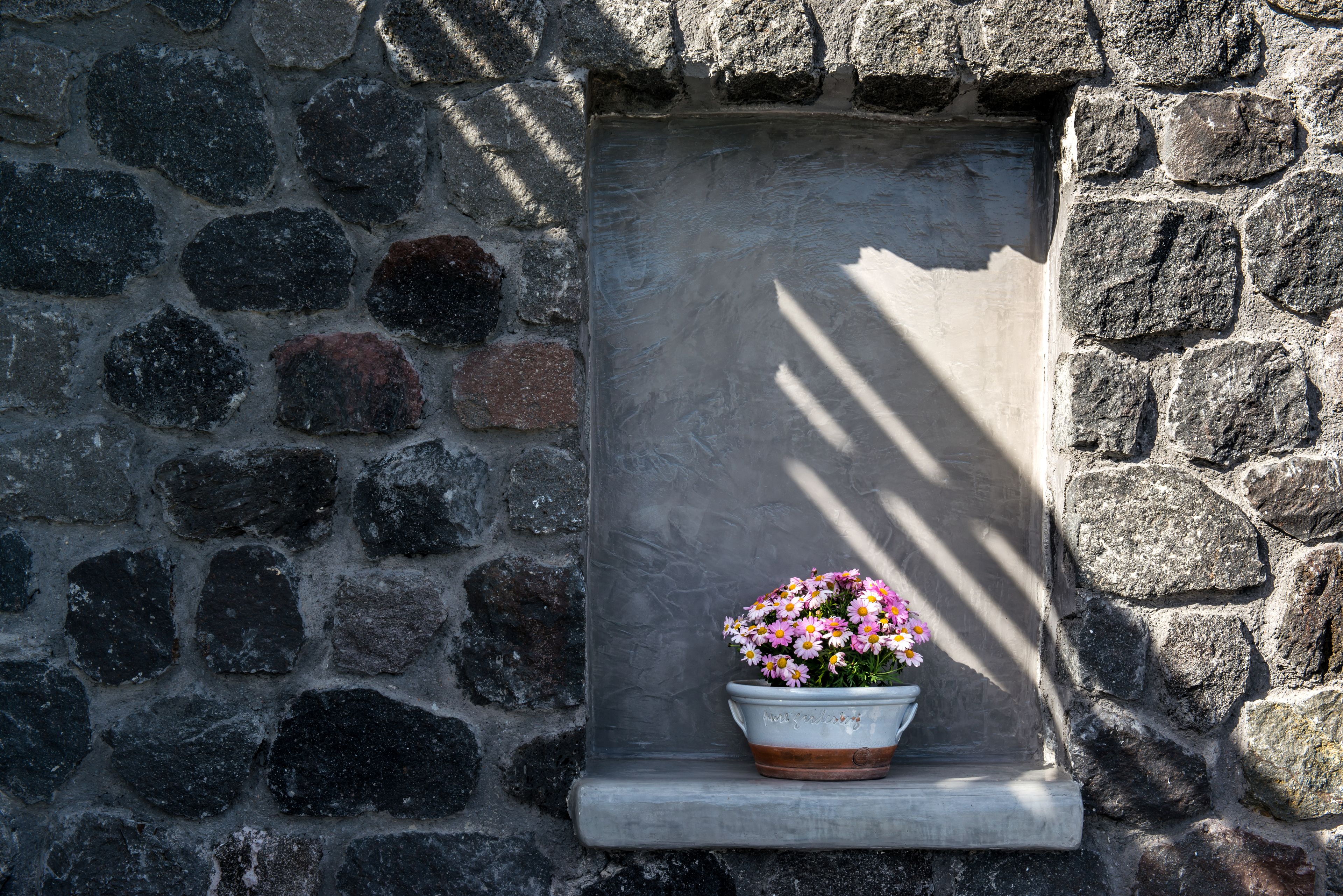 A stone wall with a window shelf holding a potted plant.