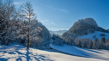 Snowshoeing