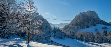 Sneeuwschoenwandelen