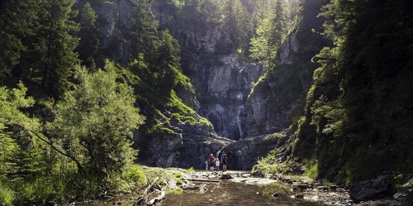 A natural landscape with a waterfall, dense greenery, and a rocky terrain.