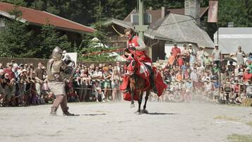 Eine Ritterturnierszene aus dem Mittelalter mit einem Ritter zu Pferd und einem Fußgänger.