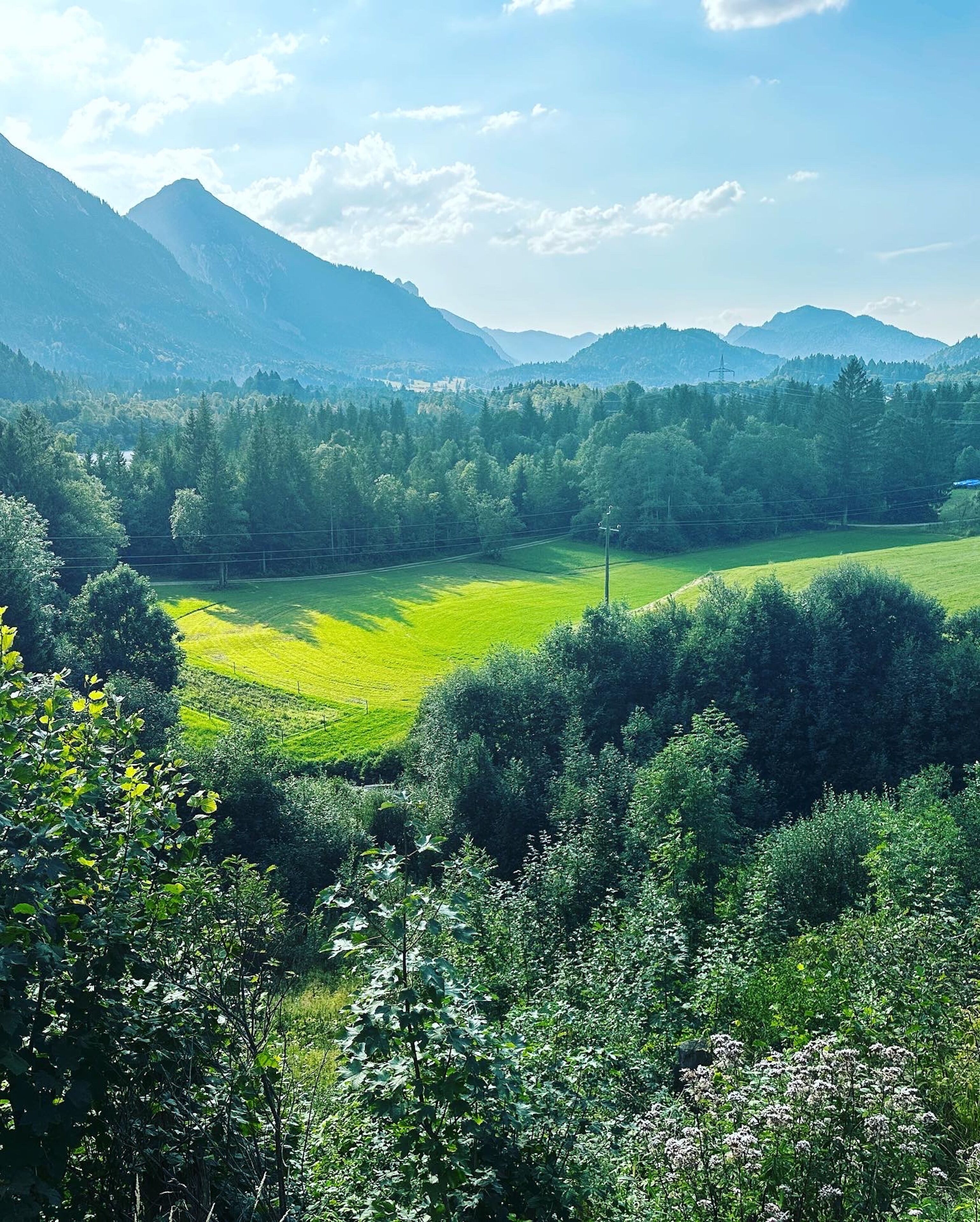 Een bergachtig landschap met groene velden en dichte bossen.