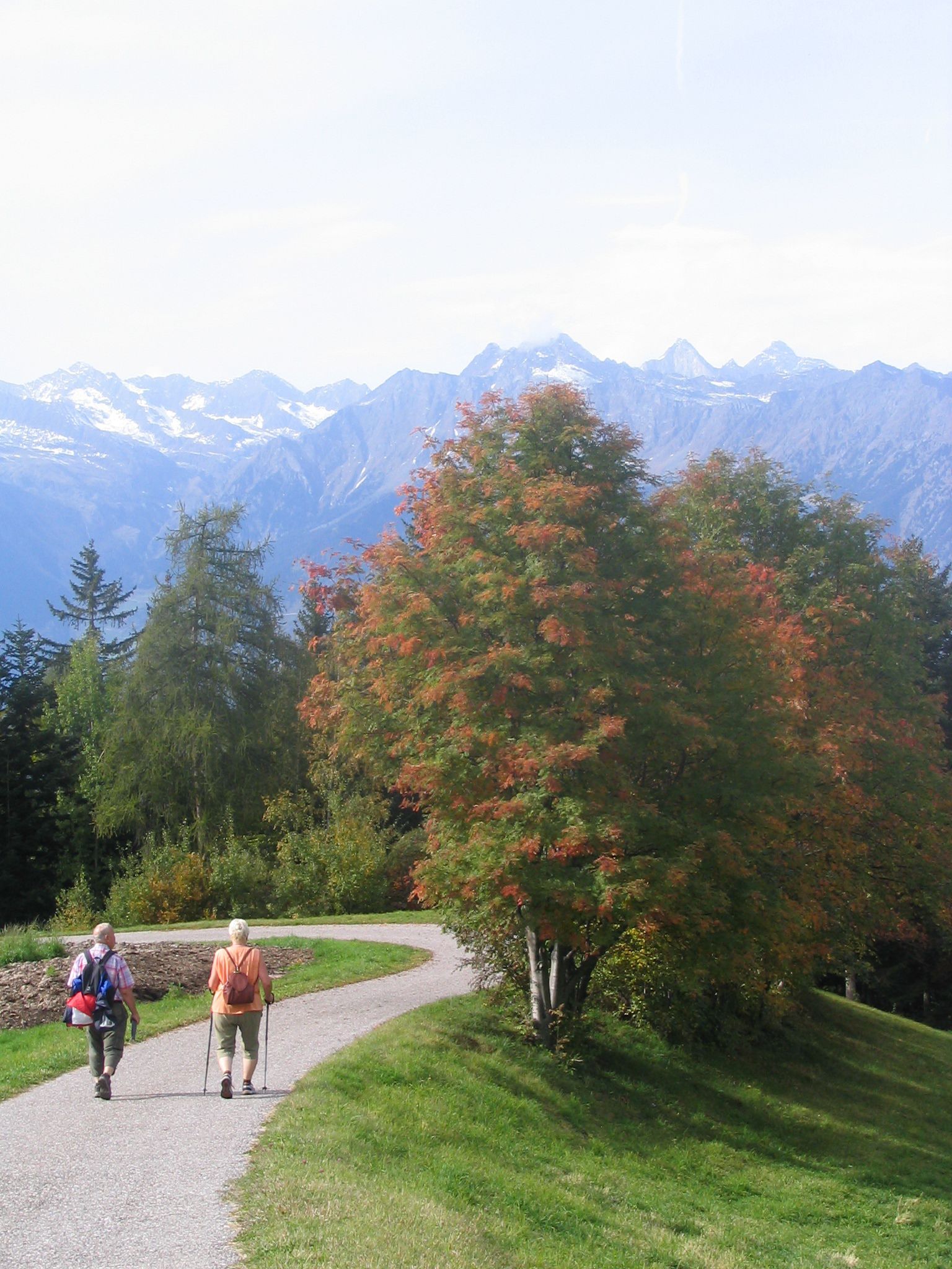 A paved path with two hikers, surrounded by trees and mountains in the background.