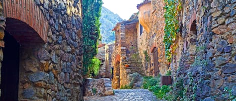 Un étroit sentier de pierre, bordé de bâtiments aux portes en arc de cercle et aux murs couverts de lierre.
