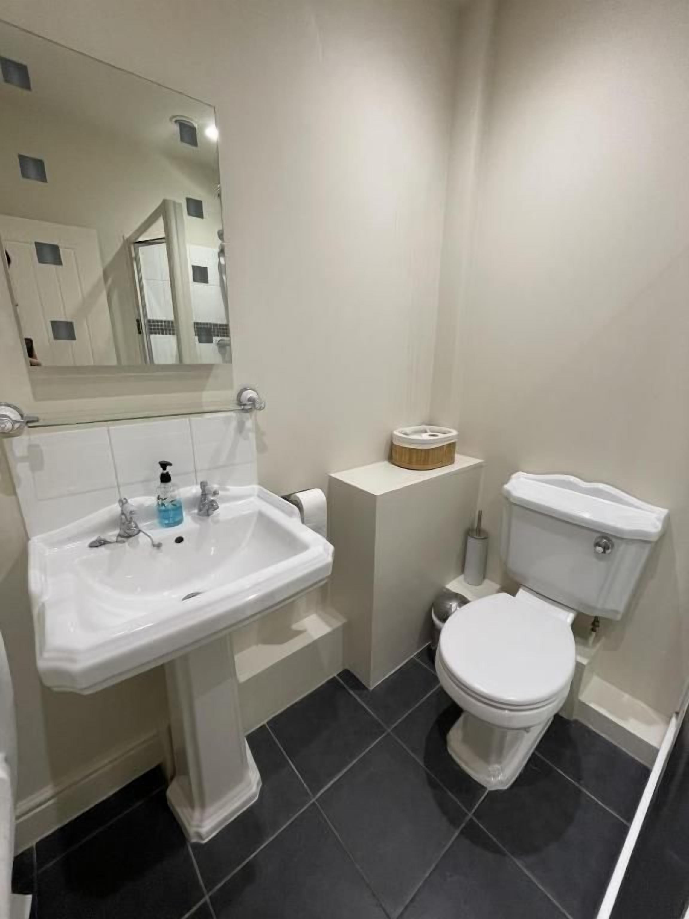 A bathroom with a pedestal sink, toilet, and a mirror.