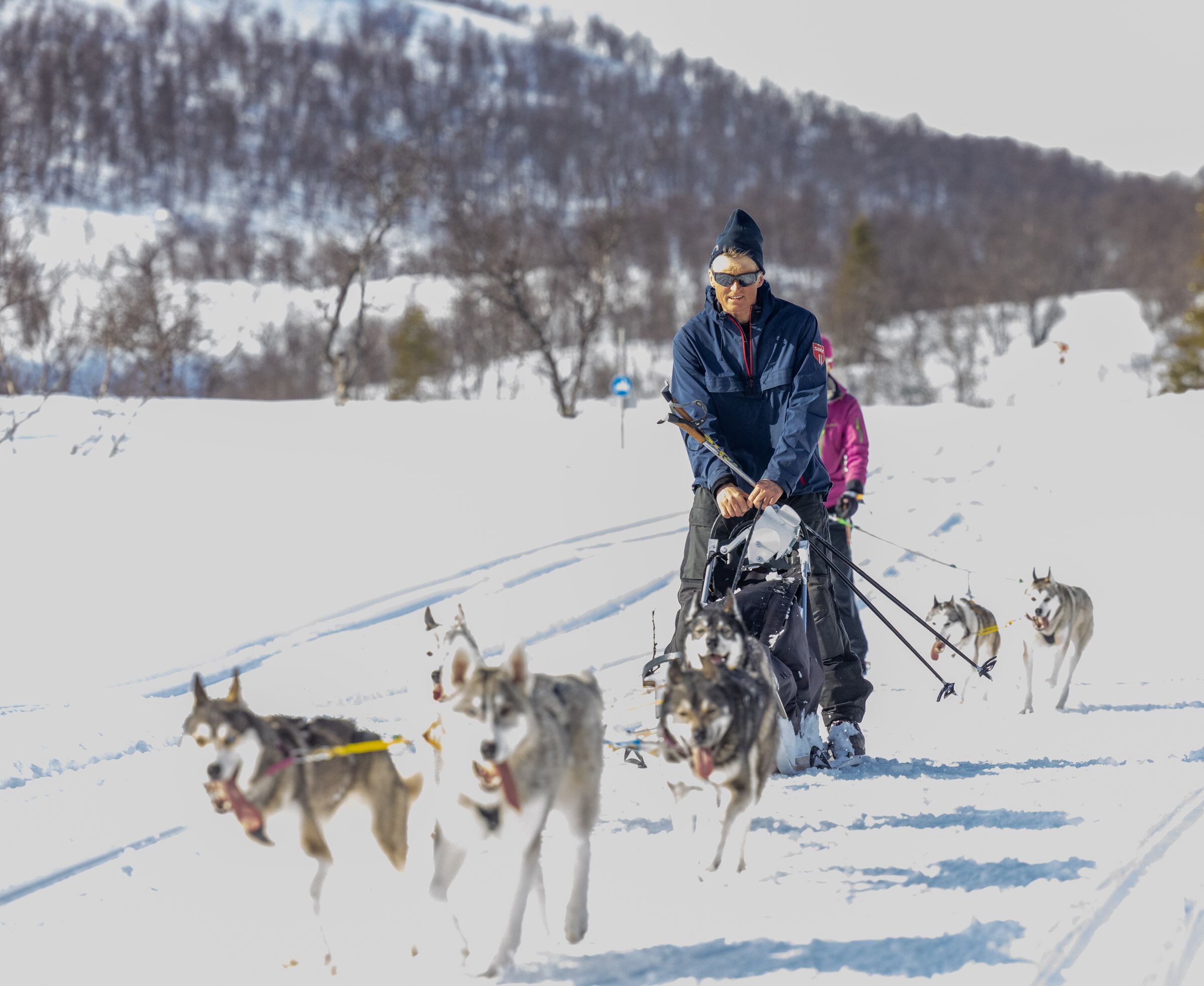 A person pulling a sled with dogs in a snowy landscape.