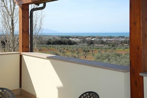 Vista desde la habitación