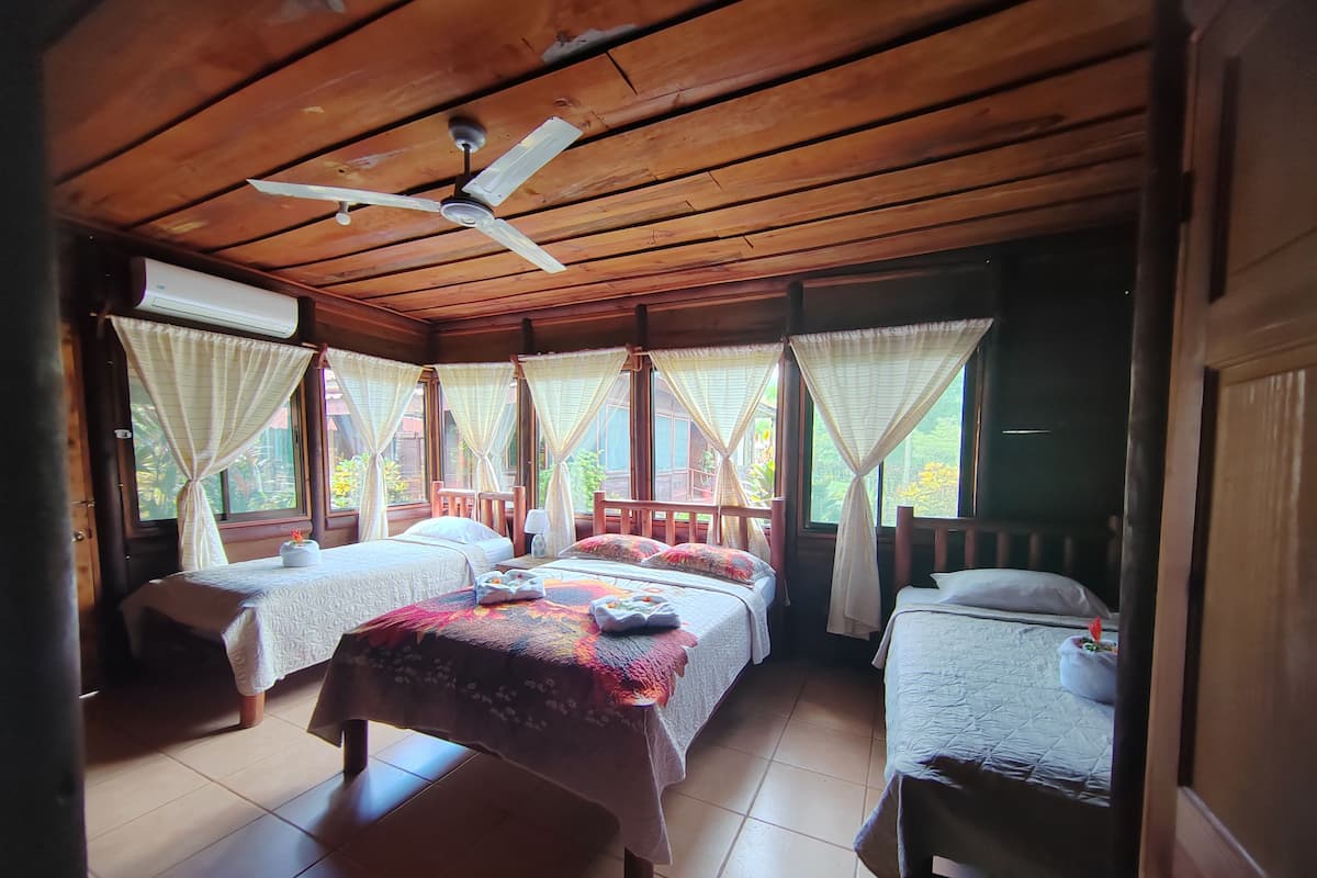 Minibar, wifi gratis, decoración personalizada y ropa de cama