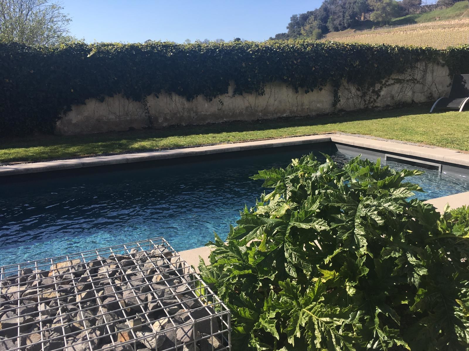 A swimming pool with a metal grill in the foreground, surrounded by a hedge and a grassy area.