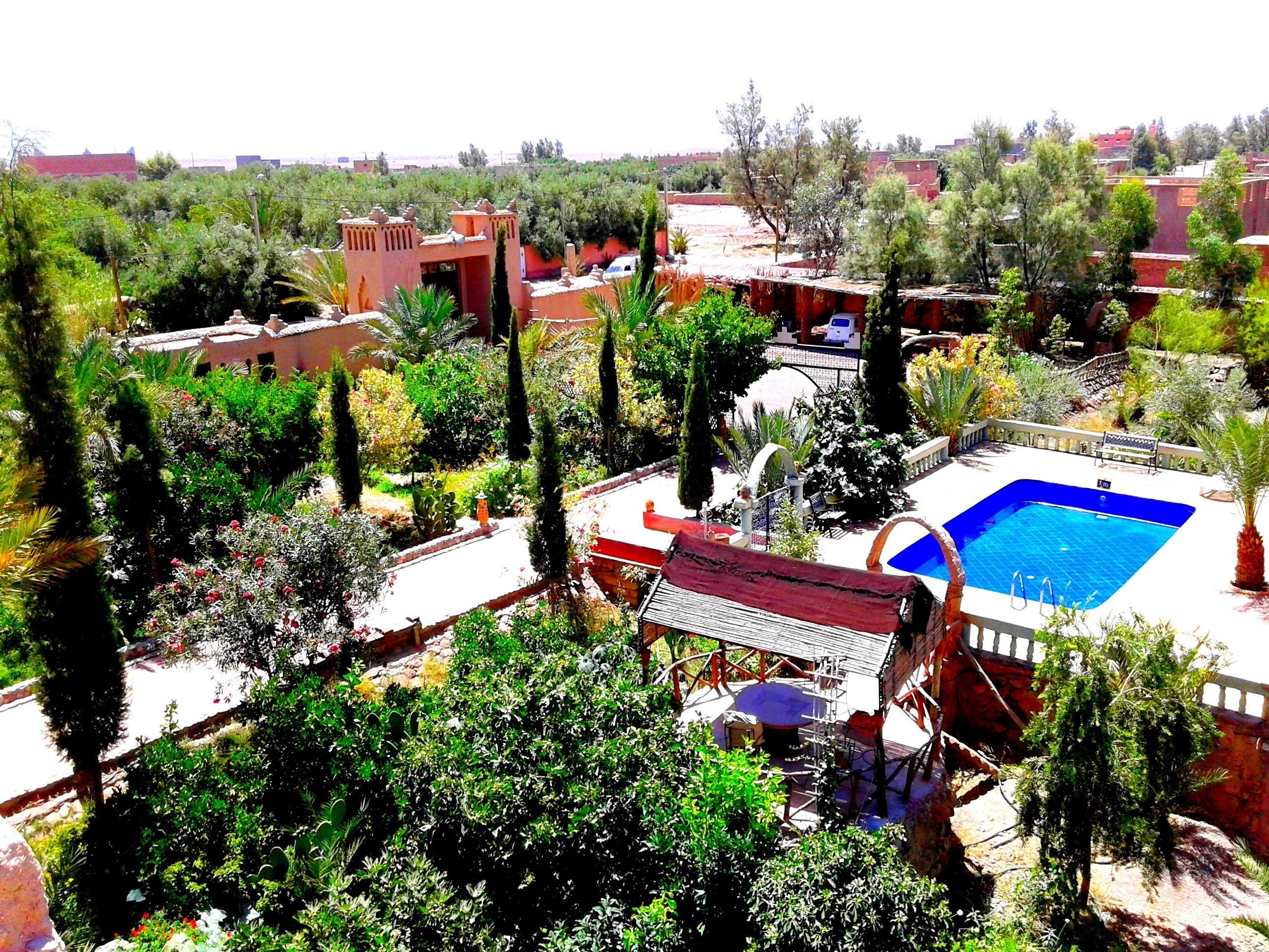 Zona de piscina con piscina azul, rodeada de abundante vegetación y varios edificios.