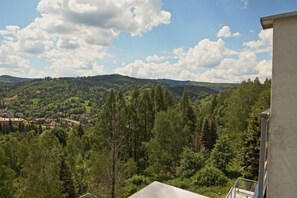 Apartment (Pieprz i Sol / Bukowa 17 Street) | View from room