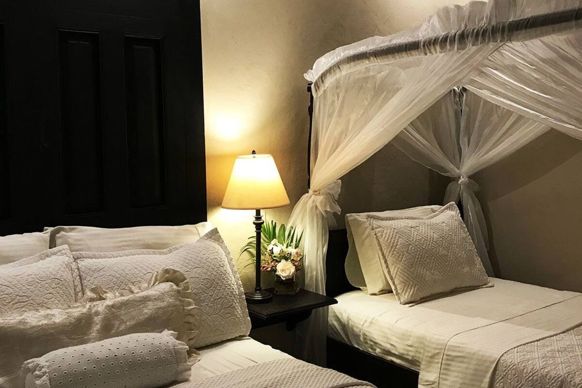 A hotel room with a bed, a nightstand with a lamp, and a decorative plant.