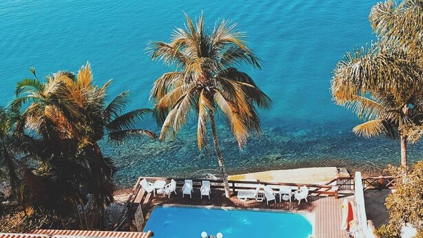 A pool area with lounge chairs and a palm tree. - Pousada das Flores (Angra dos Reis)