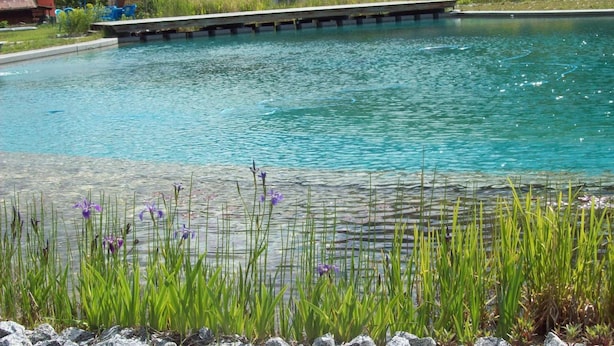 Una piscina con cubierta de madera, rodeada de vegetación y edificios al fondo.