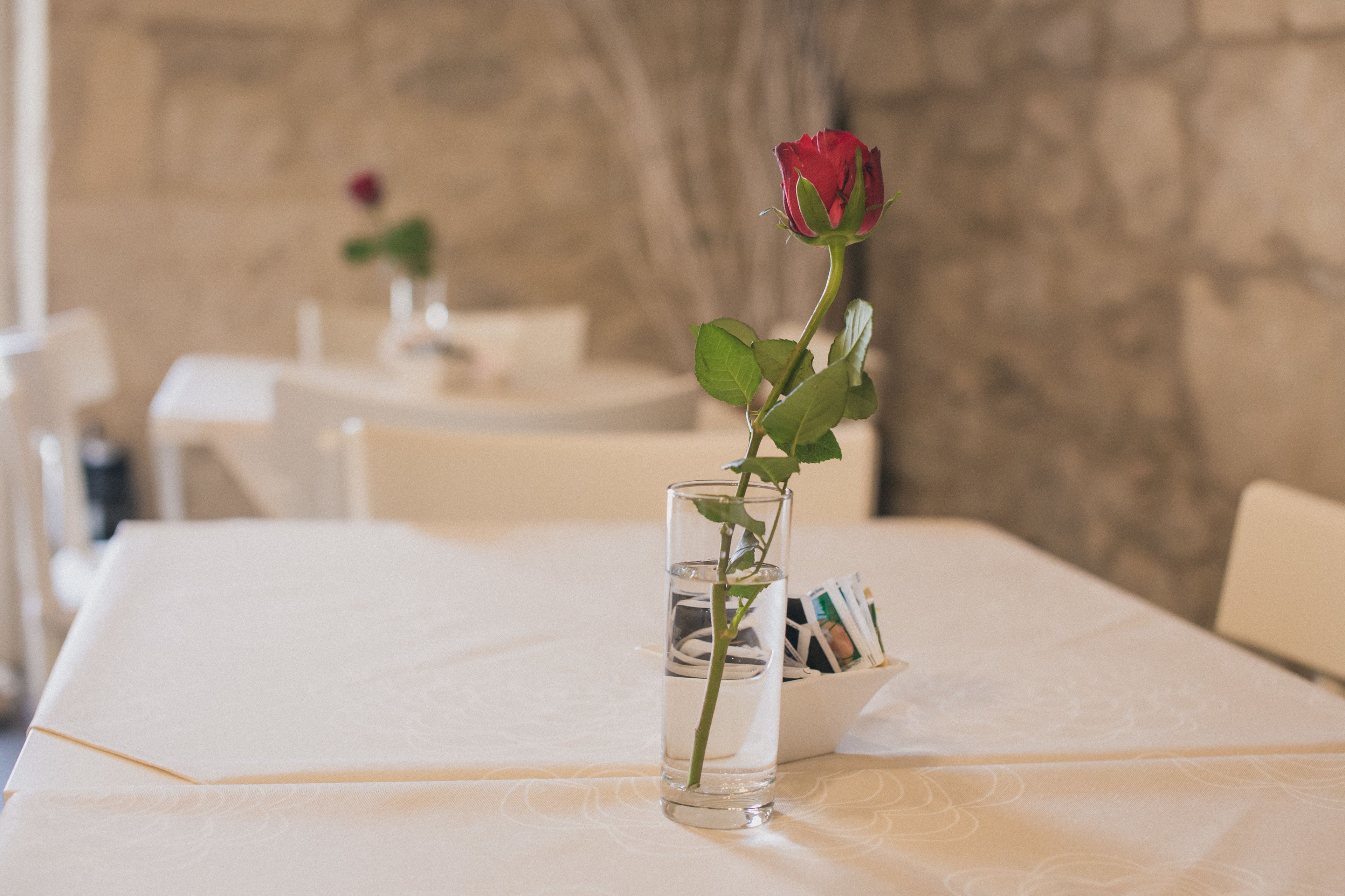Una rosa en un vaso con agua sobre una mesa con mantel blanco.
