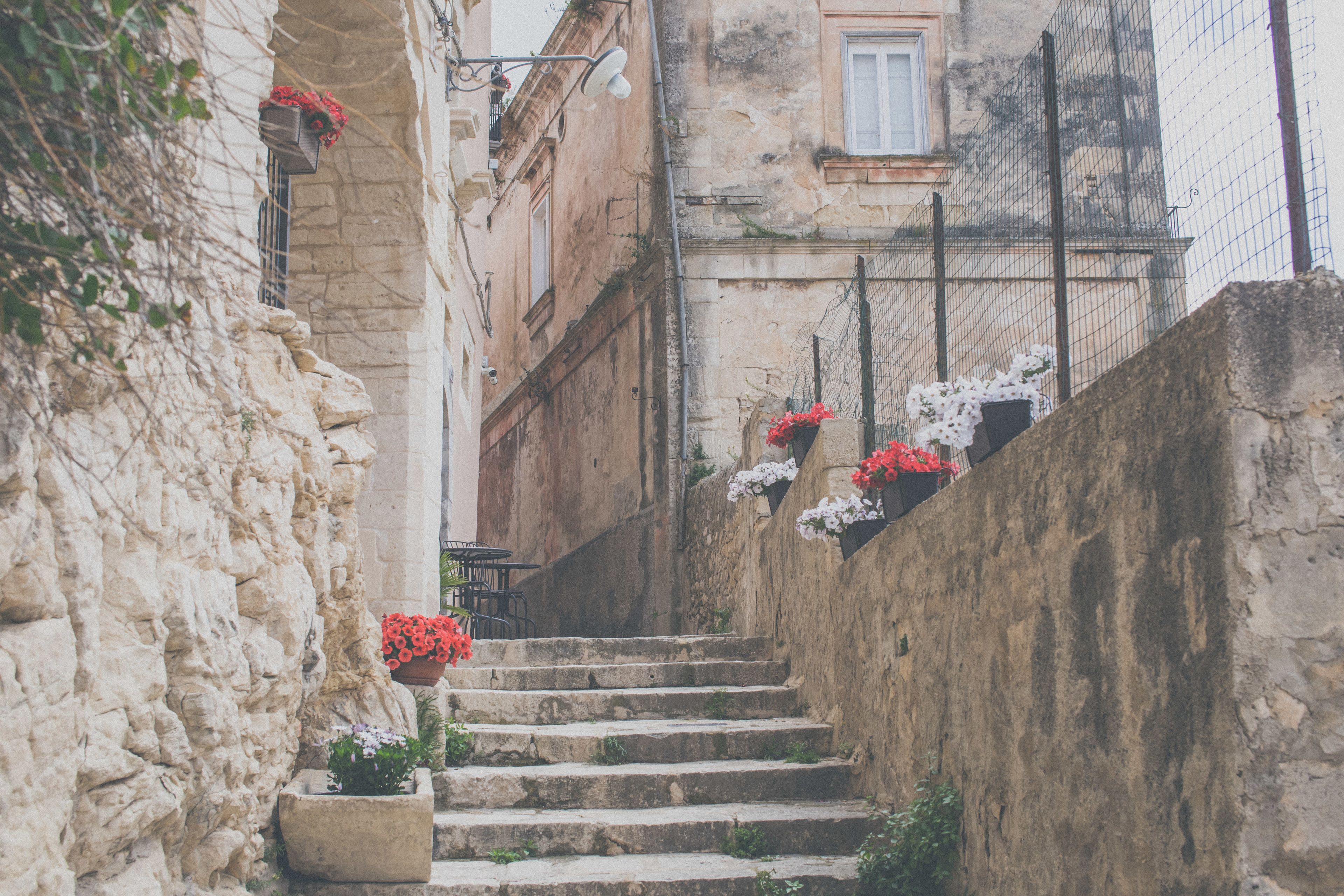 Una estrecha escalera de piedra en un edificio histórico, con jardineras de flores en las paredes.