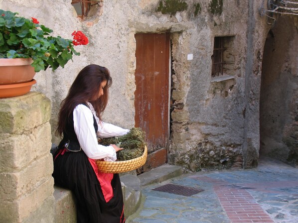 Un estrecho callejón de piedra con una puerta rústica y una planta en maceta.
