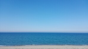 Vista desde la propiedad