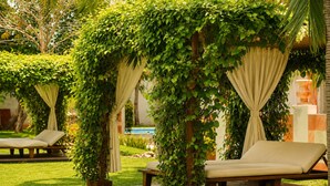 A garden area with a pool, lounge chairs, and a pergola covered in greenery.