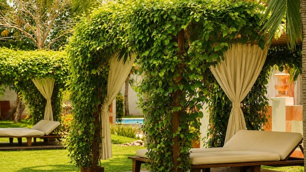 A garden area with a pool, lounge chairs, and a pergola covered in greenery. - Hotel Palacio Maya (Mérida)