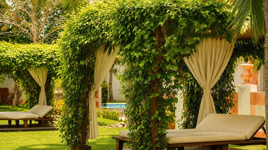Hotel Palacio Maya