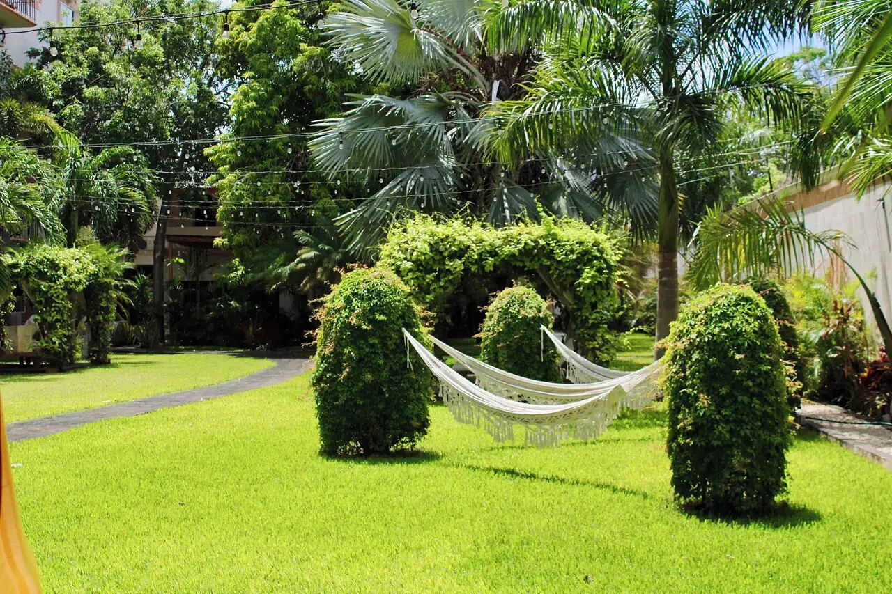 Foto - Hotel Palacio Maya