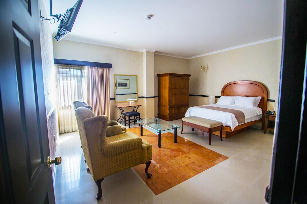 1 slaapkamer, luxe beddengoed, donzen dekbedden, een minibar