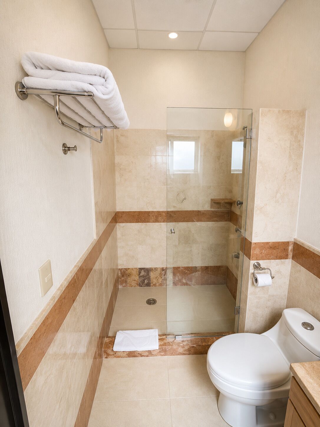 A modern bathroom with a glass-enclosed shower, a toilet, and a towel rack.