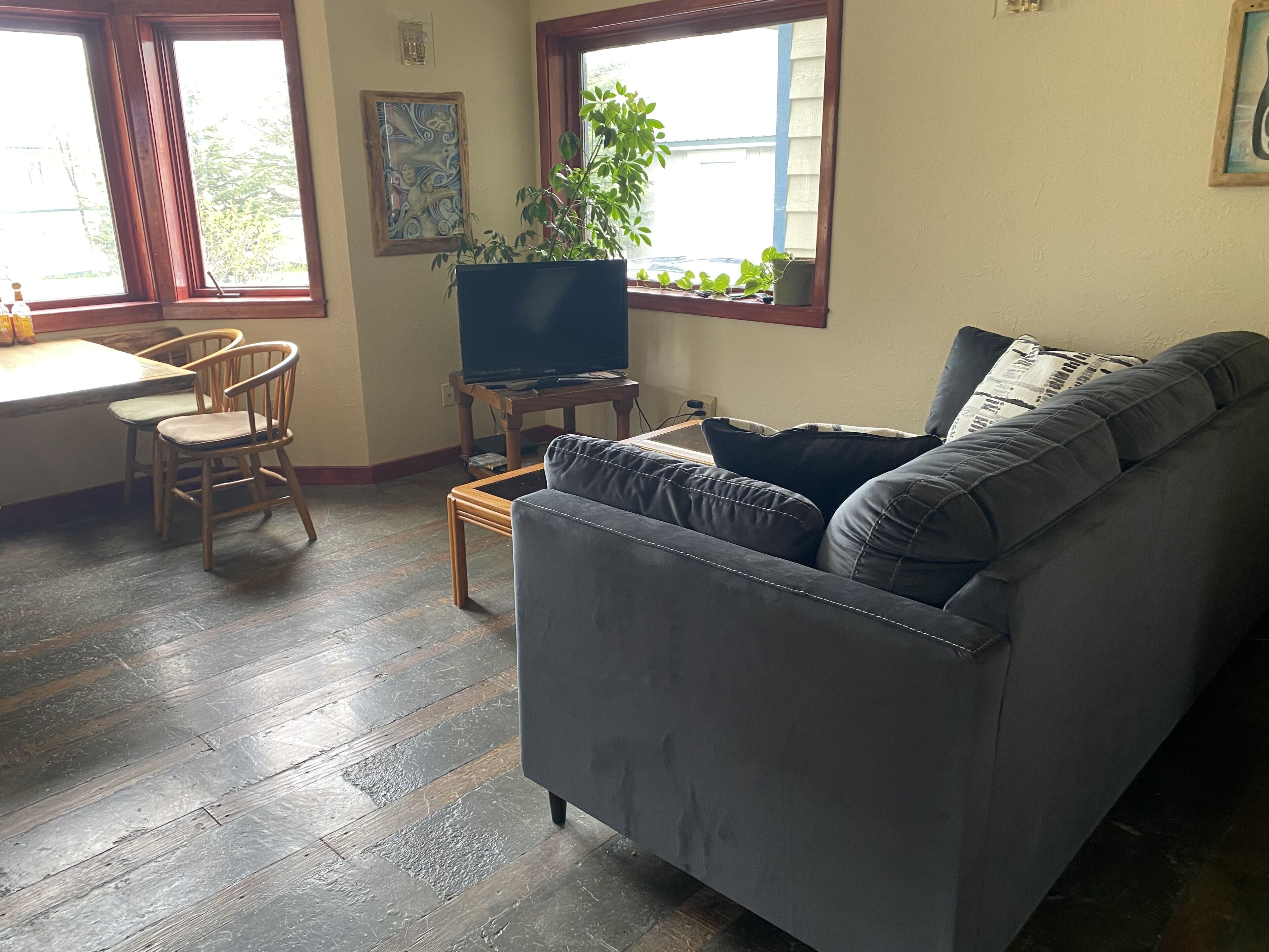 Un salon avec un canapé gris, des chaises en bois, une petite table, un téléviseur posé sur un meuble et une plante en pot.