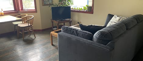 Un salon avec un canapé gris, des chaises en bois, une petite table, un téléviseur posé sur un meuble et une plante en pot.