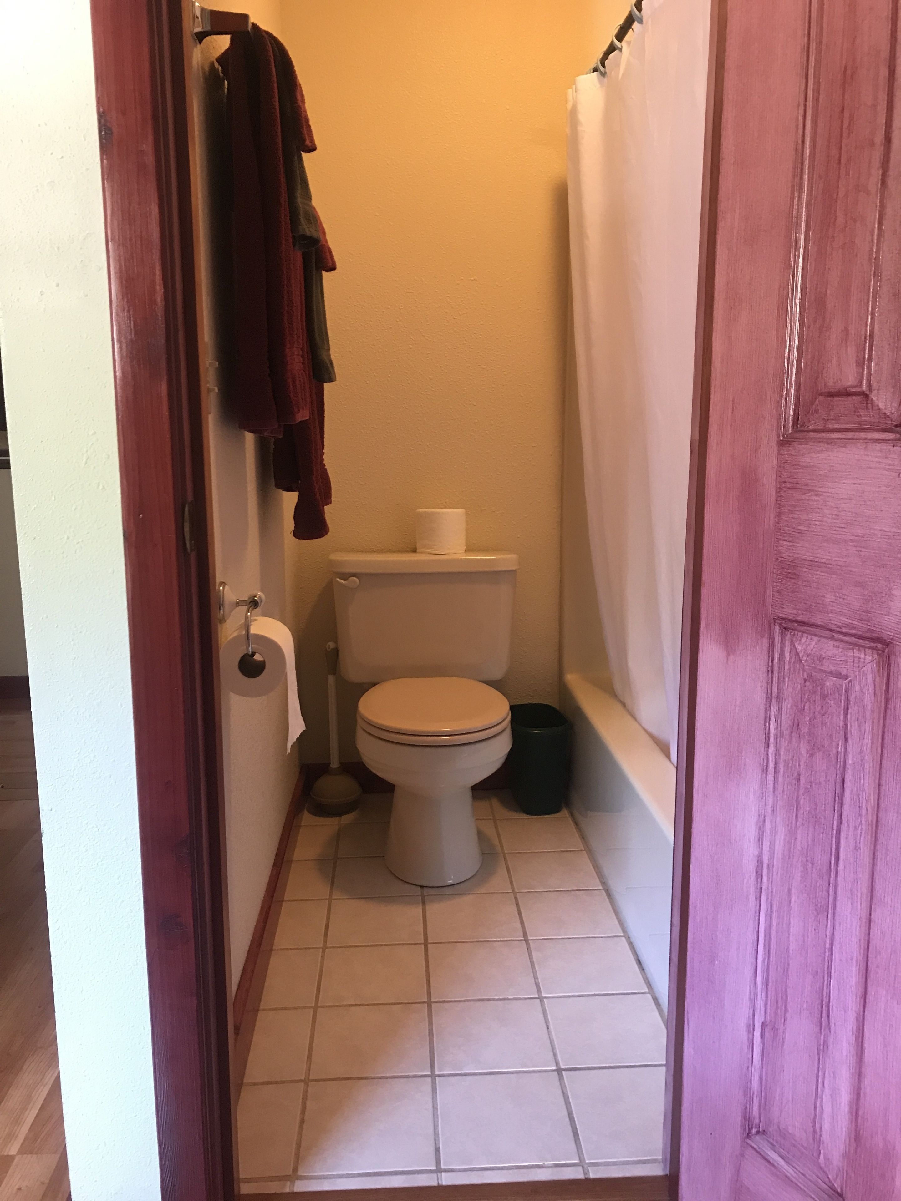 Une petite salle de bain avec des toilettes, un rouleau de papier toilette, une poubelle verte et un rideau de douche.